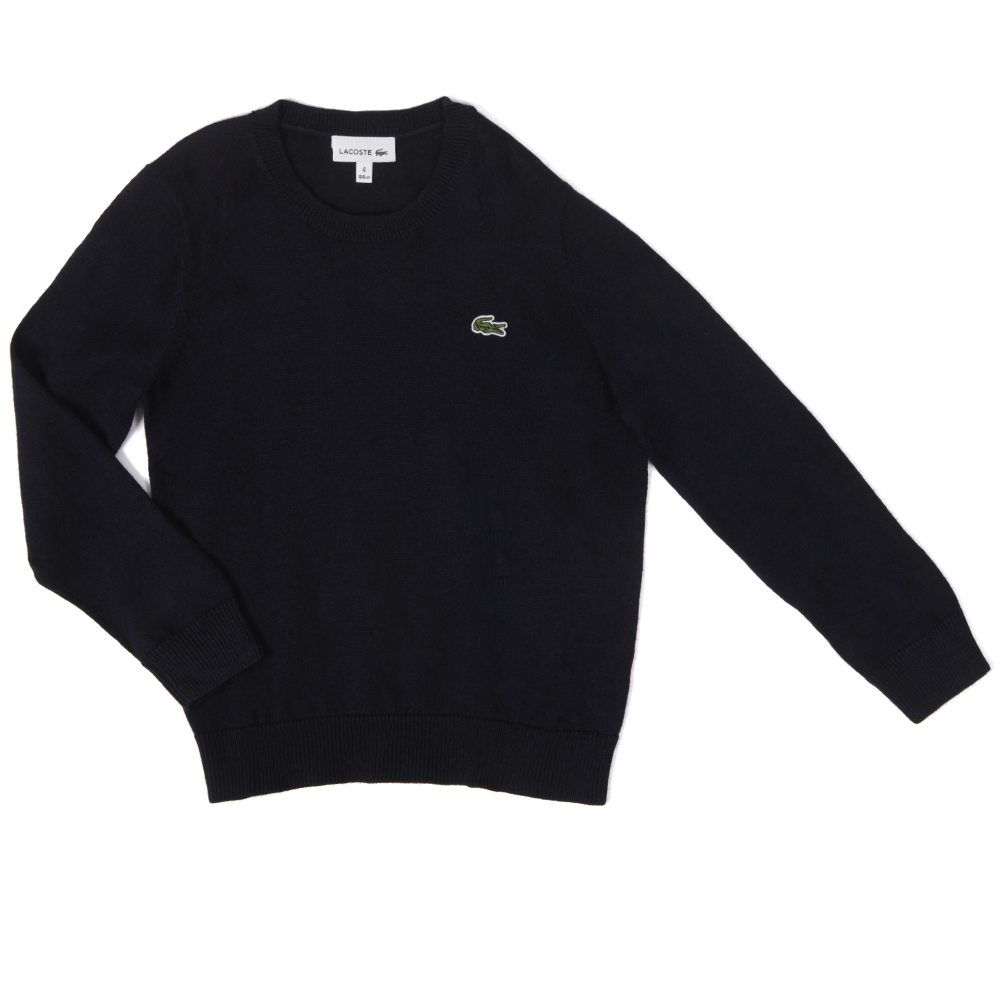 Boys lacoste jumper clearance