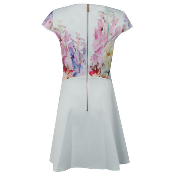 Ted Baker Womens Green Rivana Hanging Gardens Skater Dress #2