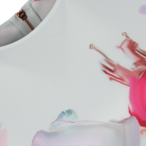 Ted Baker Womens Green Rivana Hanging Gardens Skater Dress #3