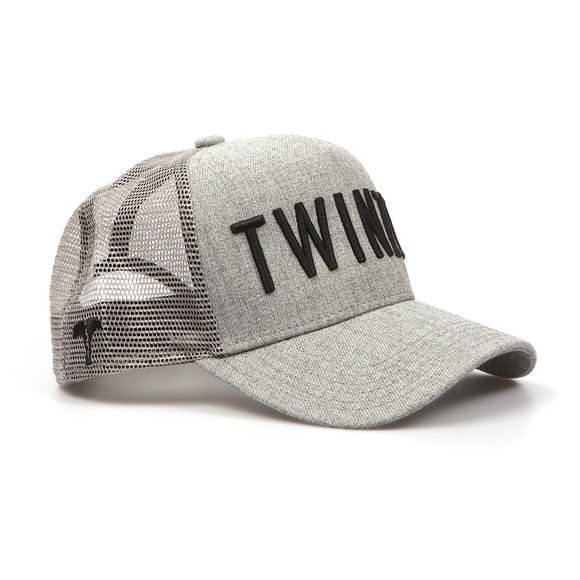 Twinzz Mens Grey Mesh Trucker Cap main image