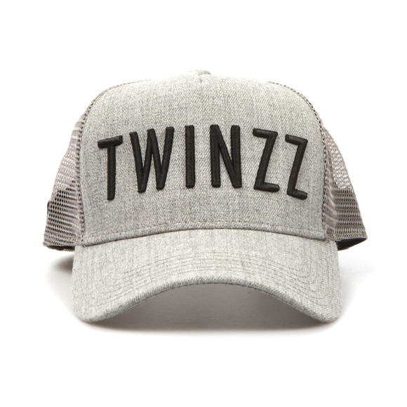 Twinzz Mens Grey Mesh Trucker Cap main image