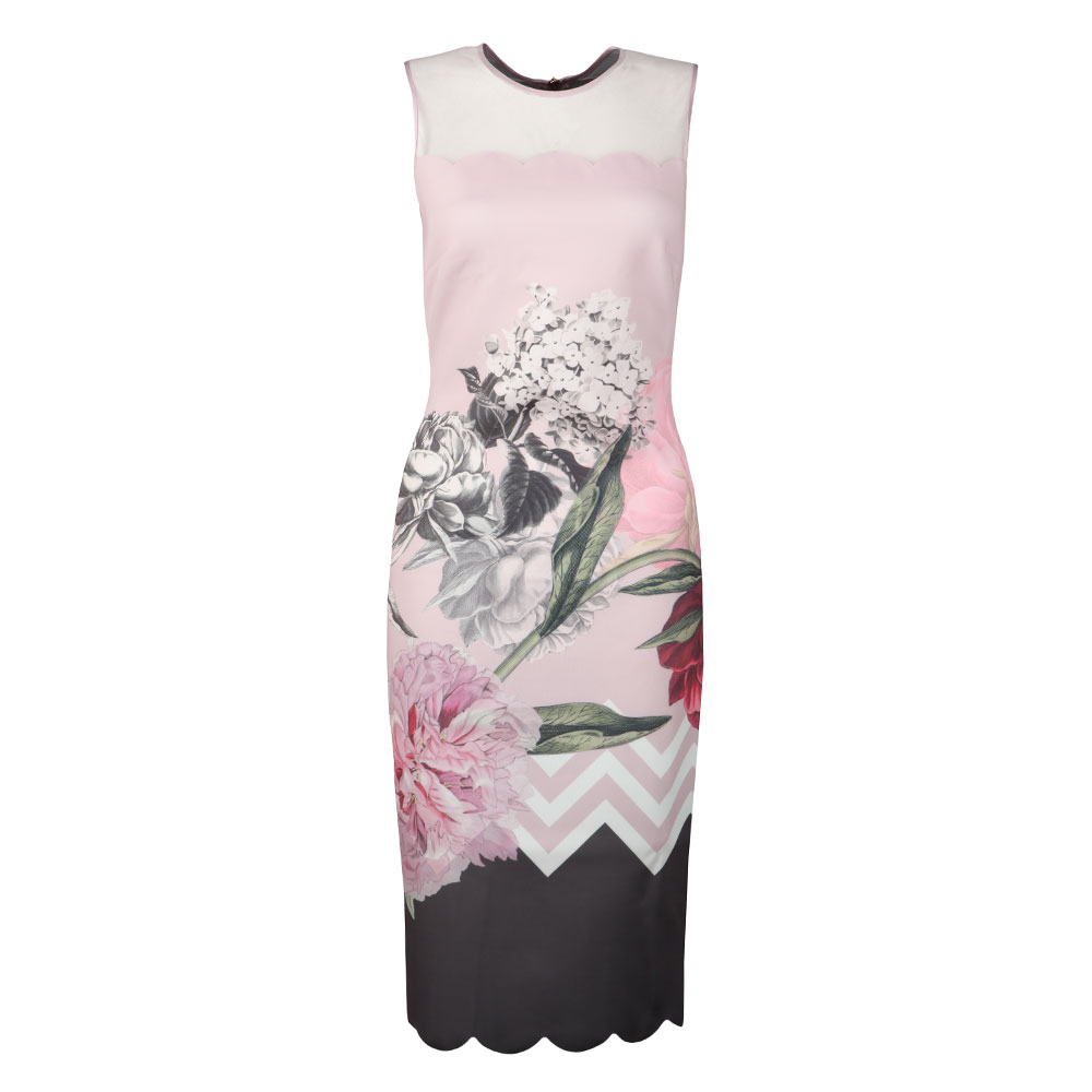 ted baker scallop dress pink Ted Baker Rubeyed Scallop Edge Shift Dress