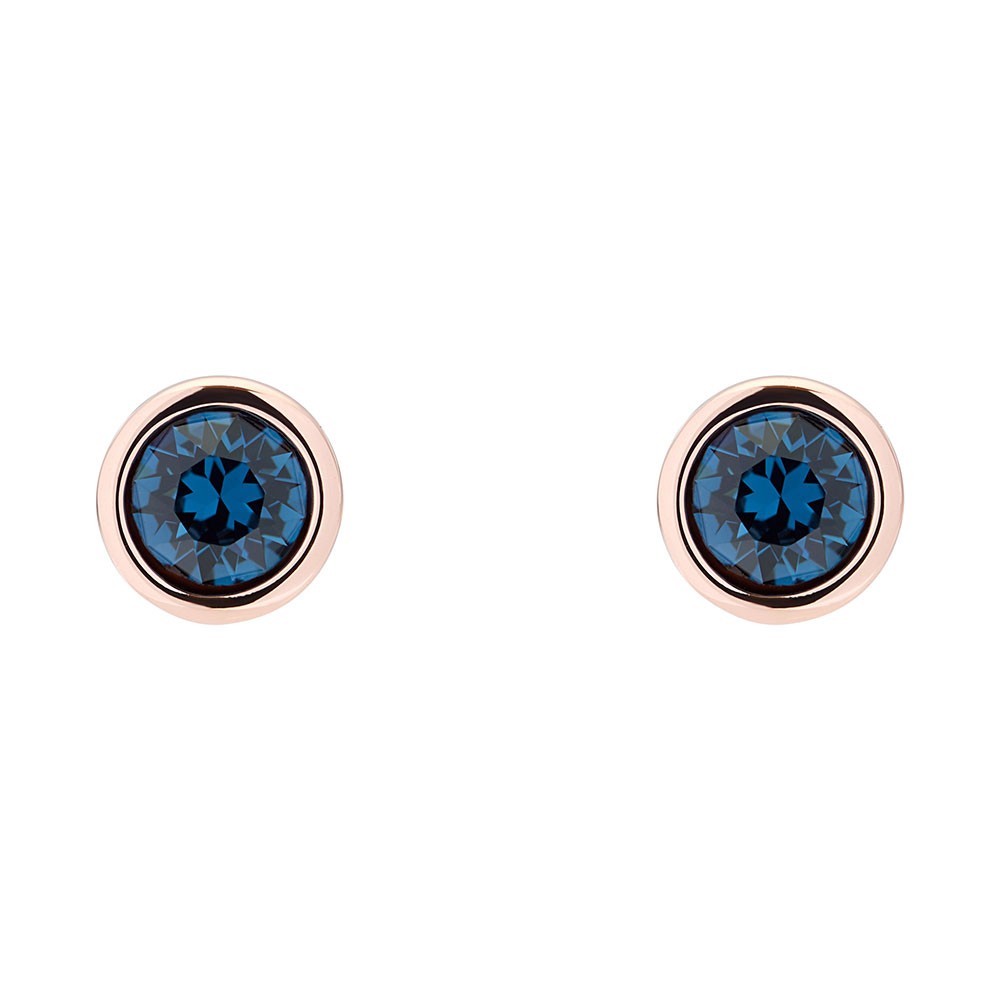 ted baker blue earrings