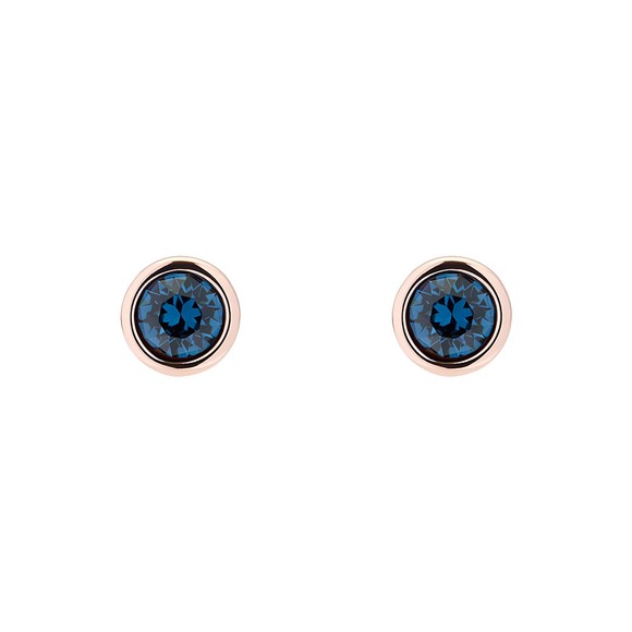 blue ted baker earrings