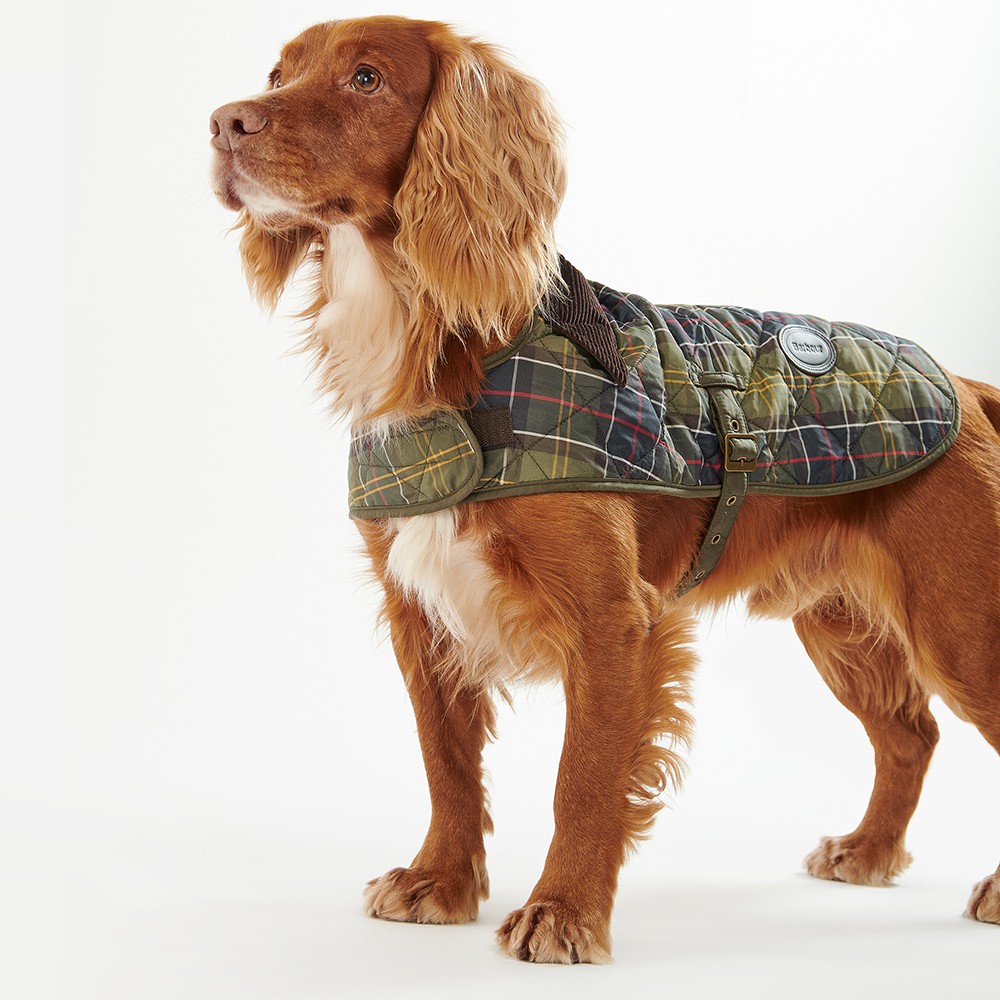 Barbour Dog Tartan Dog Coat Masdings
