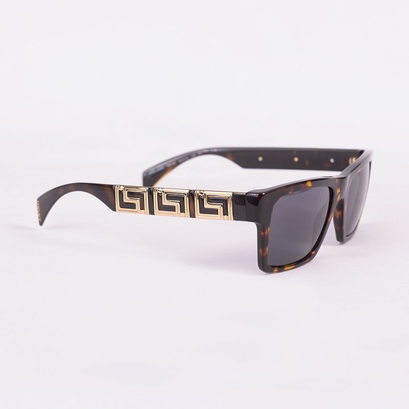 Versace Mens Brown VE4445 Sunglasses main image