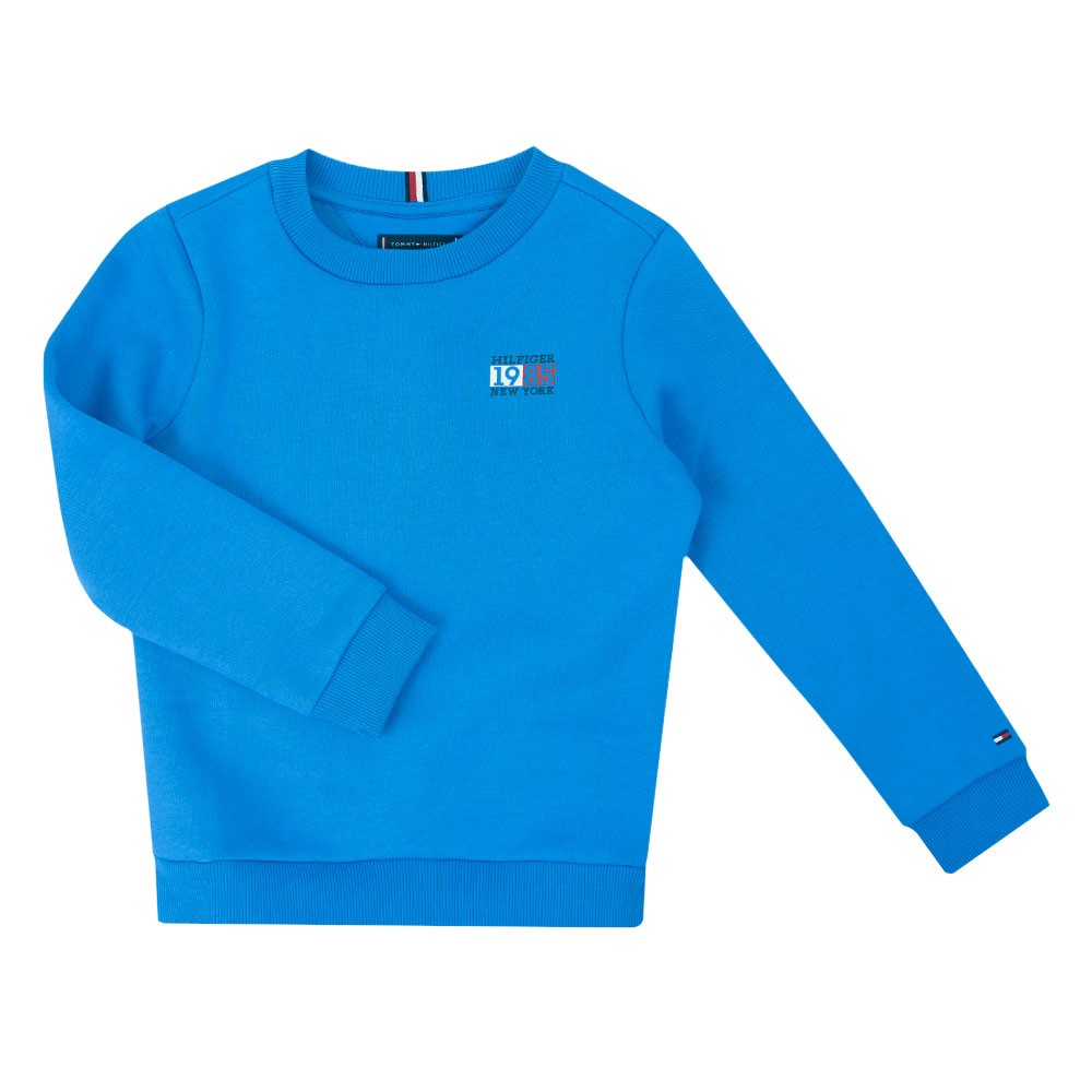 Boys Blue New York Flag Sweatshirt