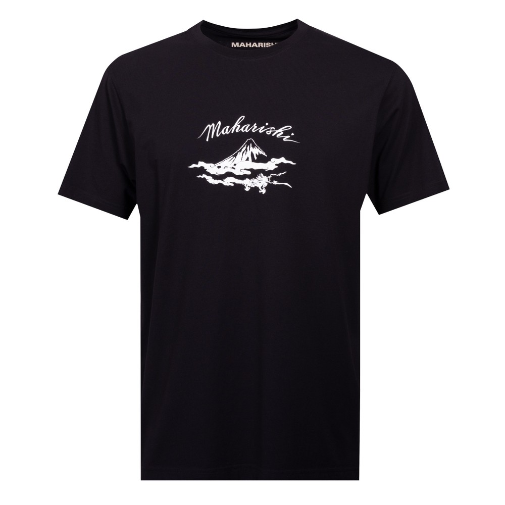 Mount Fuji T Shirt