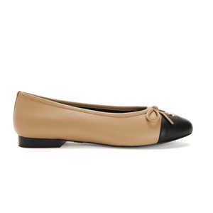 Ballet Shoe