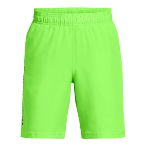 UA Tech Woven Wordmark Shorts
