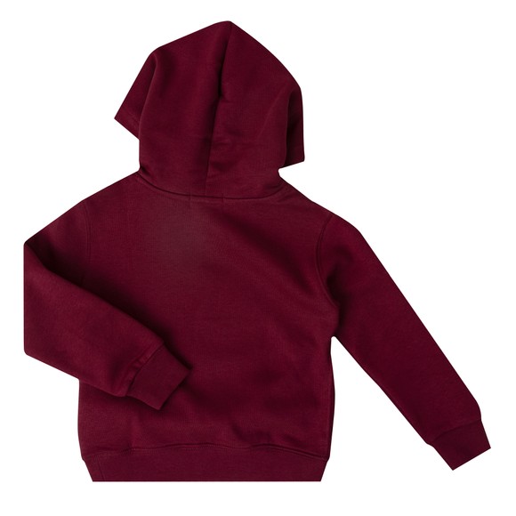 Polo Bear By Ralph Lauren Boys Red Dog Walking Bear Hoody main image