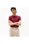 Tommy Hilfiger Mens Red Core Tommy Logo T-Shirt