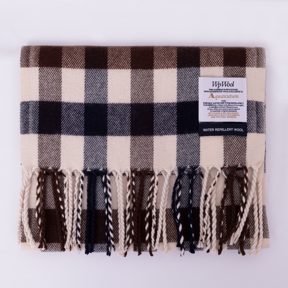 Aquascutum Mens Blue Club Check Scarf main image
