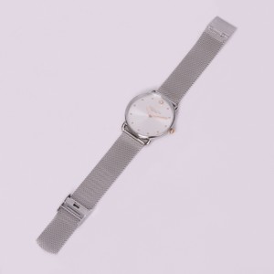 Elliot Mesh Band Watch