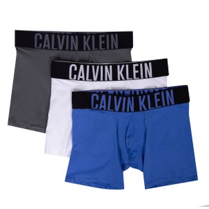 Intense Power Boxer Briefs