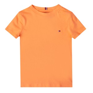 Essential Cotton Regular T Shirt