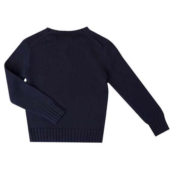 Polo Ralph Lauren Boys Blue Boys Iconic Flag Sweater #3