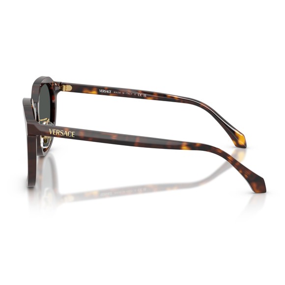 Versace Mens Brown 0VE4493D Acetate Phantos Sunglasses #3
