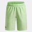 UA Tech Woven Shorts