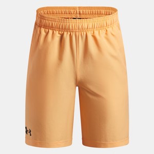 UA Tech Woven Shorts