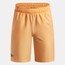 UA Tech Woven Shorts