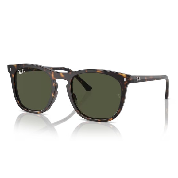 Ray-Ban Mens Brown 0RB2210 Sunglasses main image