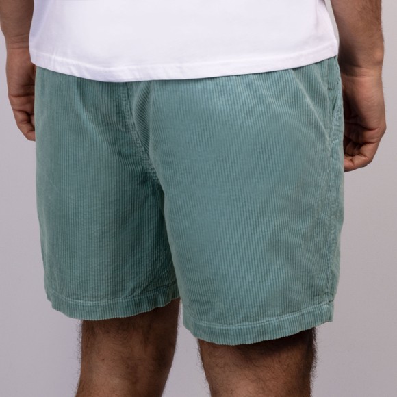 Polo Ralph Lauren Mens Blue Prepster Flat Cord Short #4