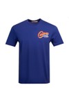 Replay Mens Blue Vintage Print T-Shirt