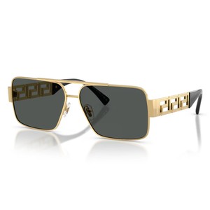 VE2290 Sunglasses