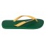 Brazil Logo Flip Flop