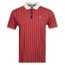 BB1 Striped Polo Shirt