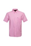 Tommy Hilfiger Mens Pink Light Oxford Solid Short Sleeve Shirt