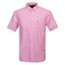 Light Oxford Solid Short Sleeve Shirt