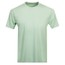Organic T-Shirt