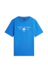 Tommy Hilfiger Mens Blue Brand Love Mono Stack T-Shirt