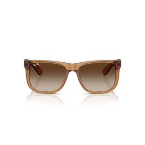 ORB4165 Justin Sunglasses