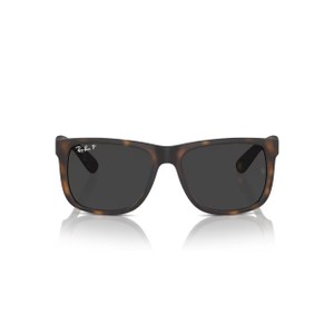 ORB4165 Justin Sunglasses
