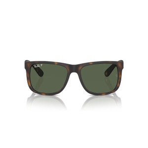 ORB4165 Justin Sunglasses