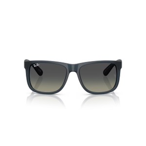 ORB4165 Justin Sunglasses