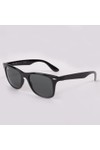 Ray-Ban Mens Black ORB4195 Liteforce Sunglasses
