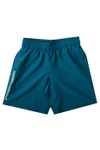 Under Armour Boys Blue UA Tech Woven Wordmark Shorts
