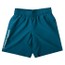 UA Tech Woven Wordmark Shorts