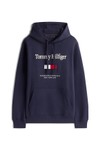 Tommy Hilfiger Mens Blue Embro Flag Hoodie