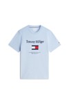 Tommy Hilfiger Mens Blue Embro Flag Tee
