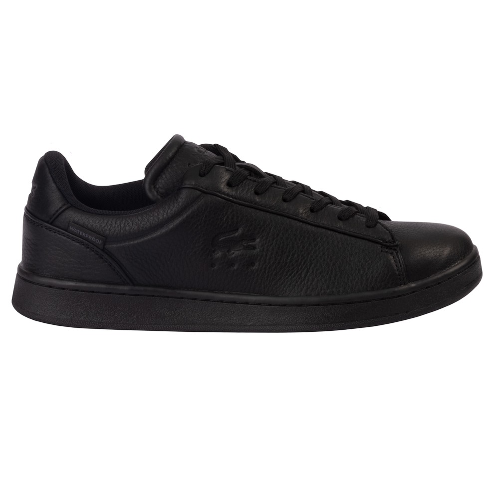 Carnaby Shield Trainer