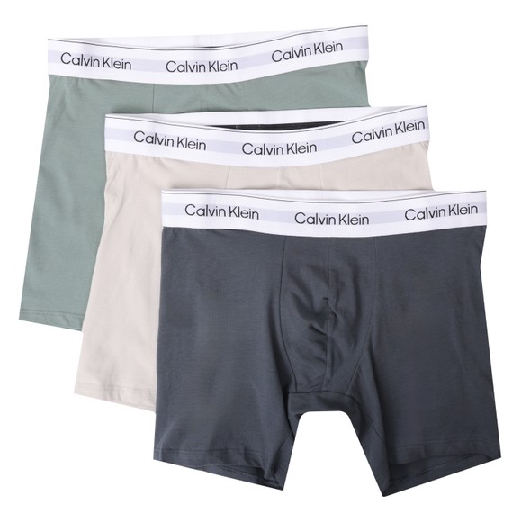 Calvin Klein Mens Multicoloured Boxer Briefs
