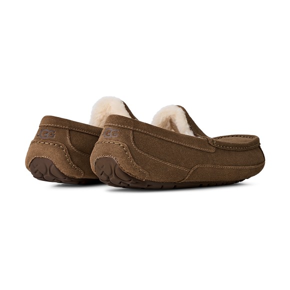 Ugg Mens Bronze Ugg Ascot Slipper #3