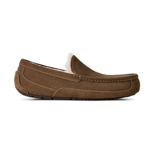 Ugg Ascot Slipper