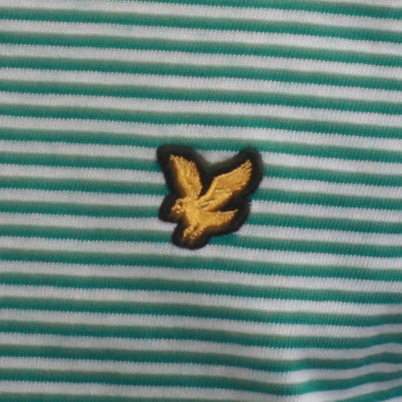 Lyle & Scott Mens Turquoise Lyle & Scott Acid Mint Fine Stripe Polo main image