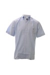 Gant Mens Blue Gant Washed Gingham RBD80 SS Shirt 